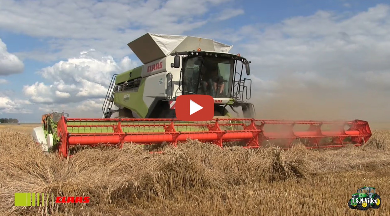 De Graan Oogst Van 2021 Met De Nieuwe Claas Lexion TerraTrac Met Een