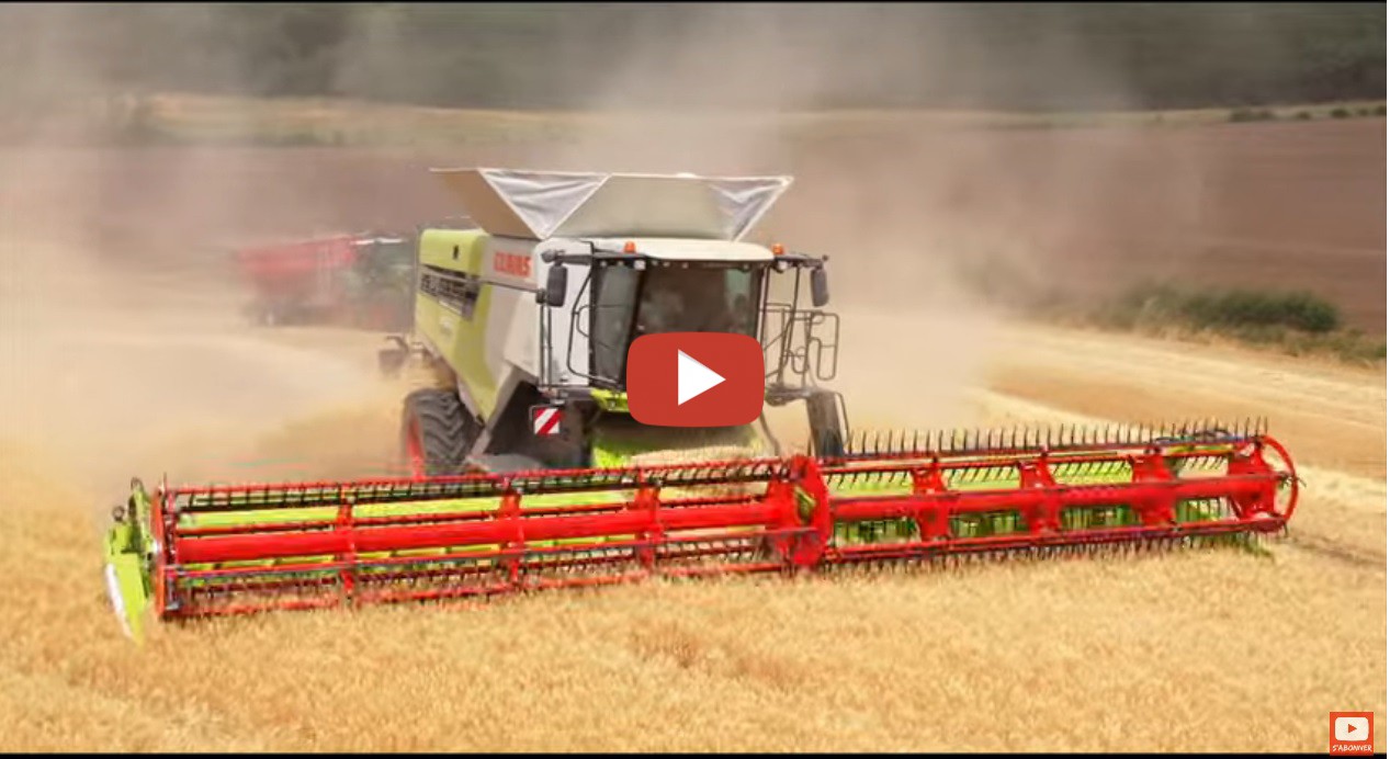 Gerst Dorsen 2023 Met Een CLAAS LEXION 8800 Terra Trac 1230 Flex En