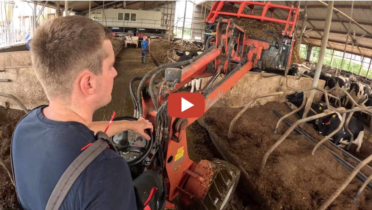 Dutch Farmer John Paardemest Boxen Vullen Met Een Mini Shovel Koe