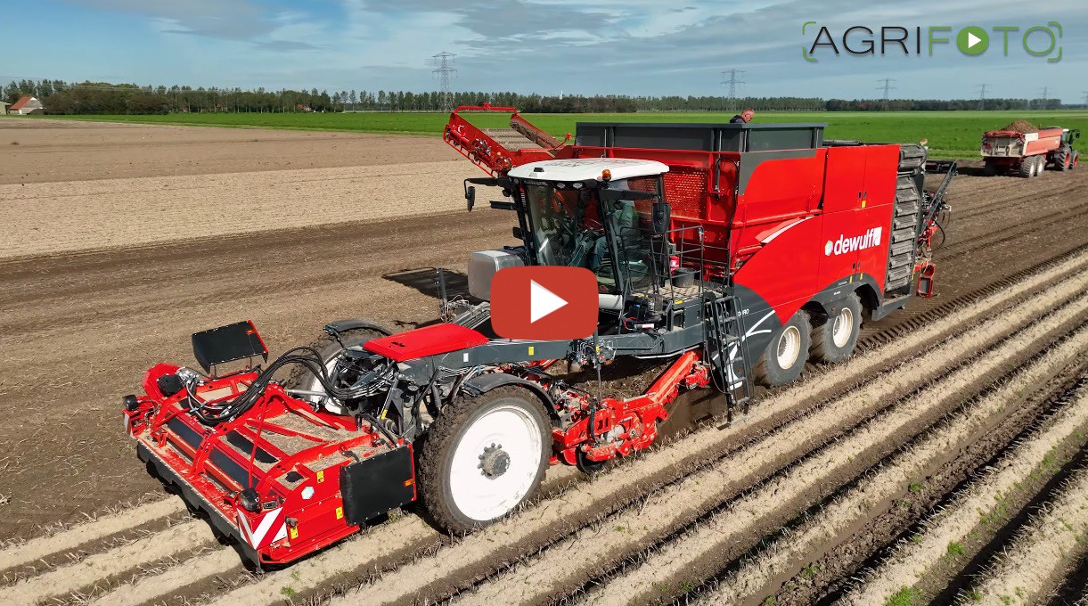 Aardappelen En Uien Rooien Met X New Dewulf Enduro Agrifoto