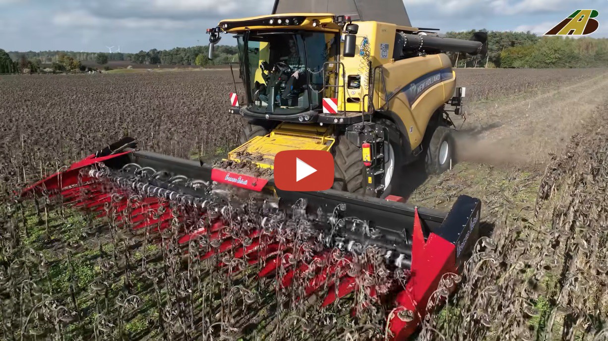 Agrarblick Zonnebloemenoogst In Duitsland Met Een New Holland