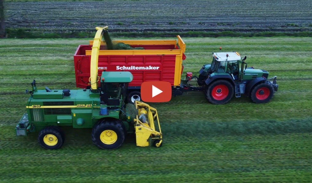 De Eerste Snede Gras Hakselen In Met Loonbedrijf Velthuizen Uit