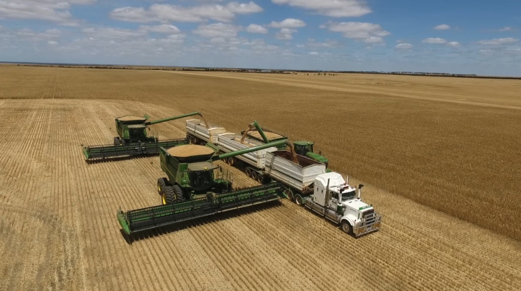 Australië. Tom's Brook oogst 2016