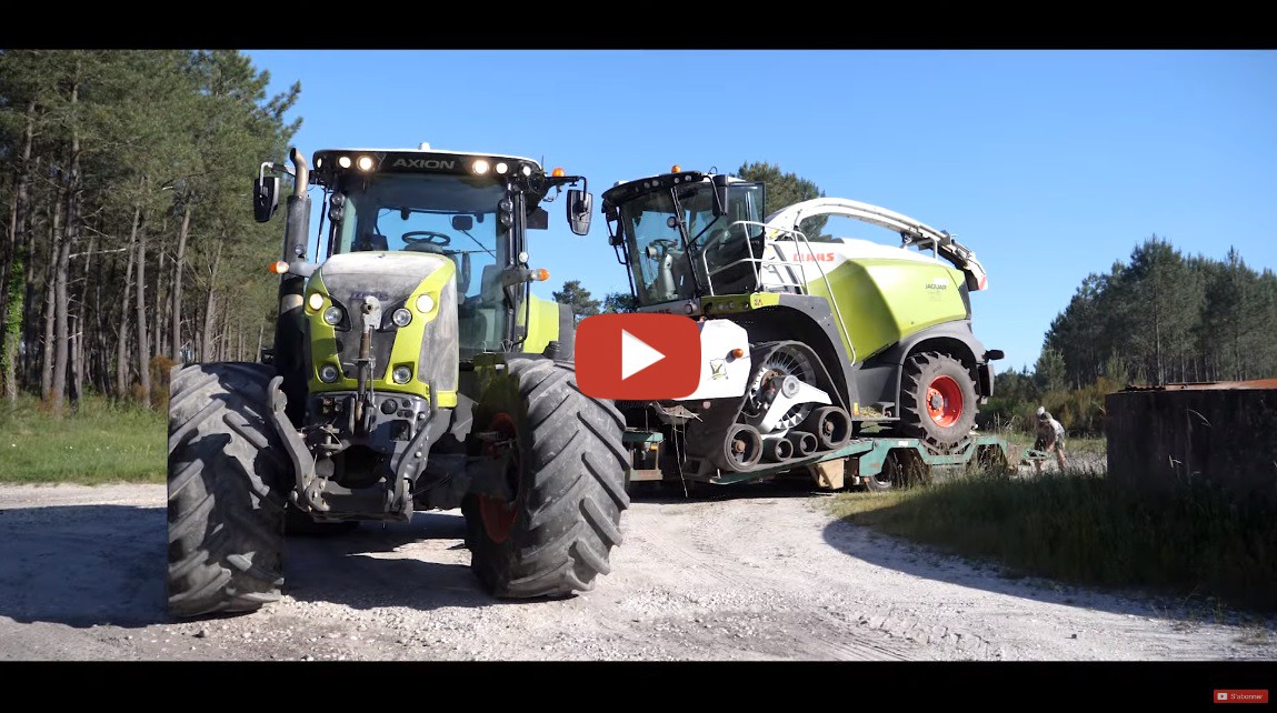 Claas Jaguar 930 Une Ensileuse Sur Porte Char Ensilage 2020 Au Milieu Des Pins Mr 7623