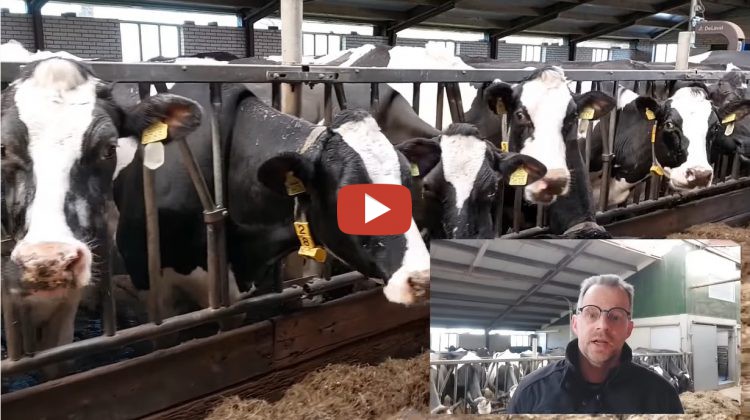 *Boer Gerrit vlogt over biddag voor gewas en arbeid......