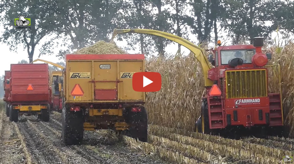 Mais Hakselen 2022 -- Farmhand F600 En Een Fox 6350 Hakselaar ...