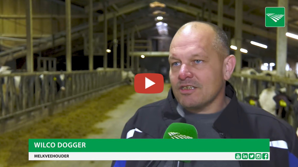 De hoogproductieve veestapel ( Dit jaar op plek 1 met bijna 15.300 kilo  melk per koe) van Wilco Dogger in Beerzerveld wordt vrijdag geveild. Dogger  stopt met melken en heeft zijn rechten