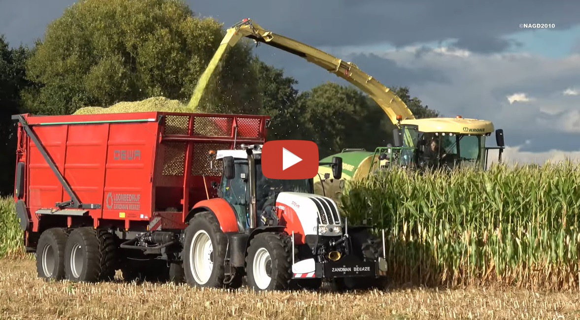 Nagd Loonbedrijf Zandman Beerze Met Hun Krone Bigx Optimaize Hakselaar X Steyr En