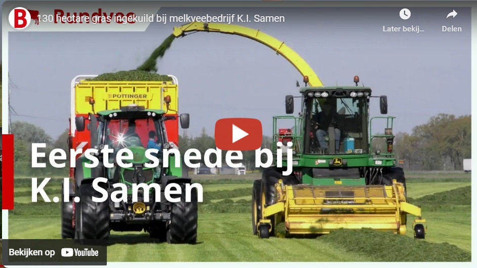 Boerderij.nl - Bij Fok- En Melkveebedrijf K.I. Samen In Grashoek (L ...