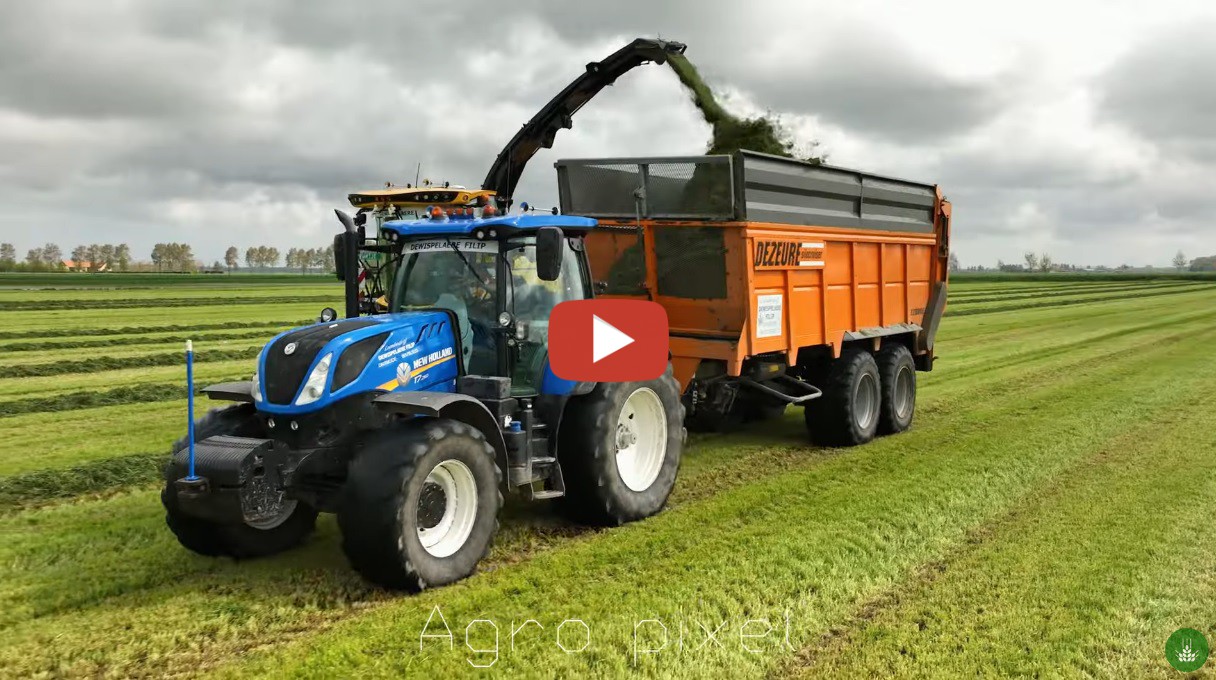 *Gras hakselen 2023 met een New Holland hakselaar. New Holland trekkers met Dezeure silage