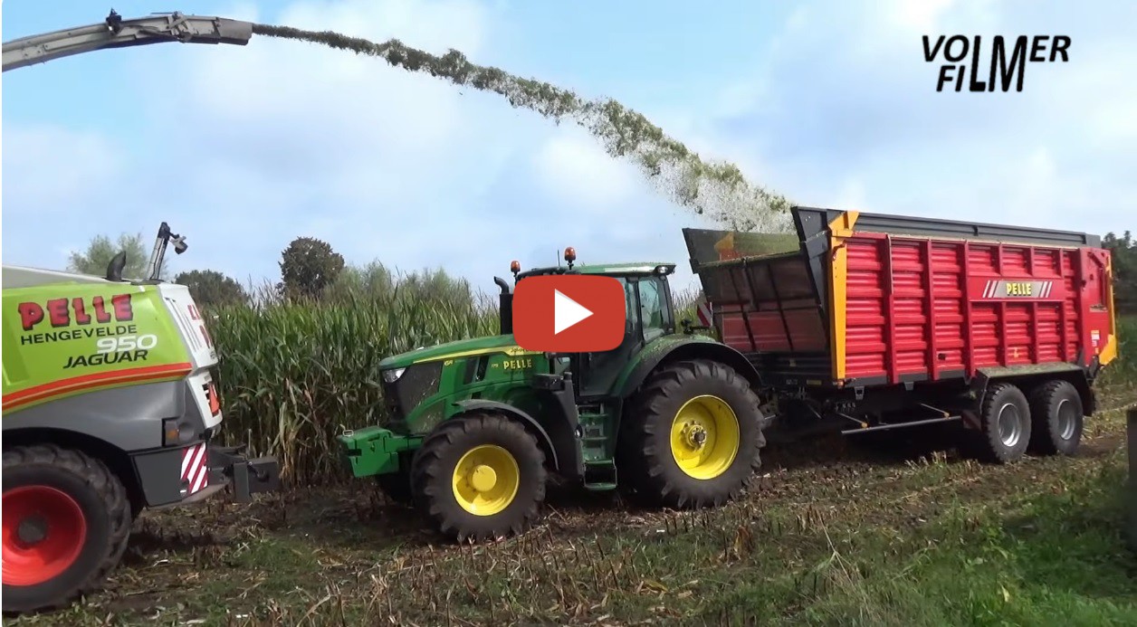 Volmerfilm Mais Hakselen Door Loonbedrijf Pelle Claas Jaguar Hakselaar John Deere