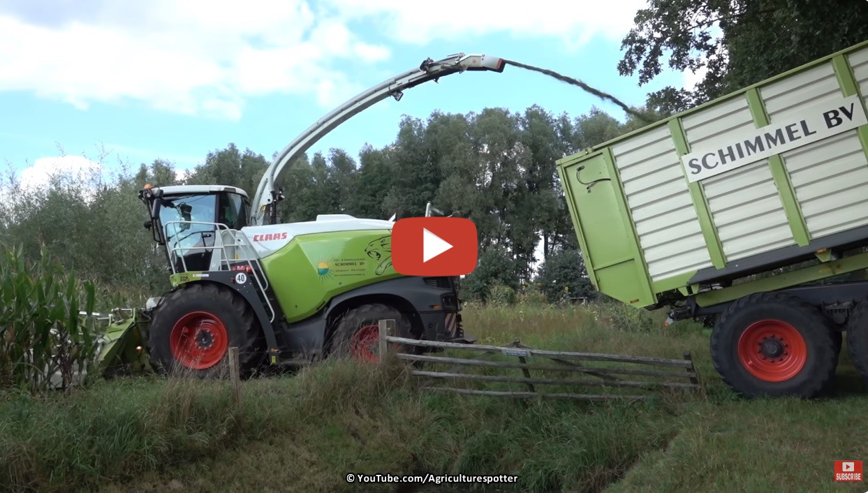 Agriculturespotter -- Mais Hakselen In Woudenberg Met Een ...