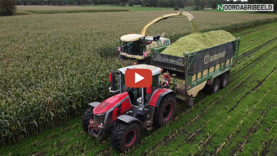 Loonbedrijf Beute Mais Hakselen Met Een Krone Big X Case Ih Massey Ferguson