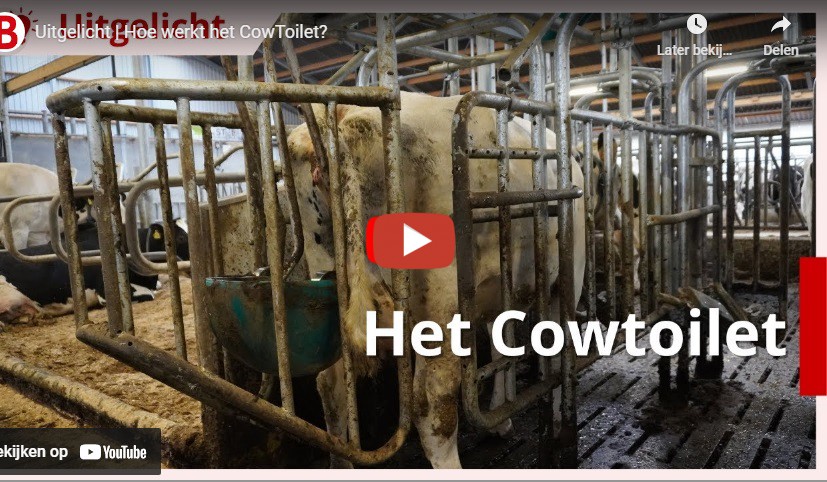 Boerderij Hoe Werkt Het Cowtoilet Het Cowtoilet Is Een Uitvinding Om De Stikstofemissies Bij