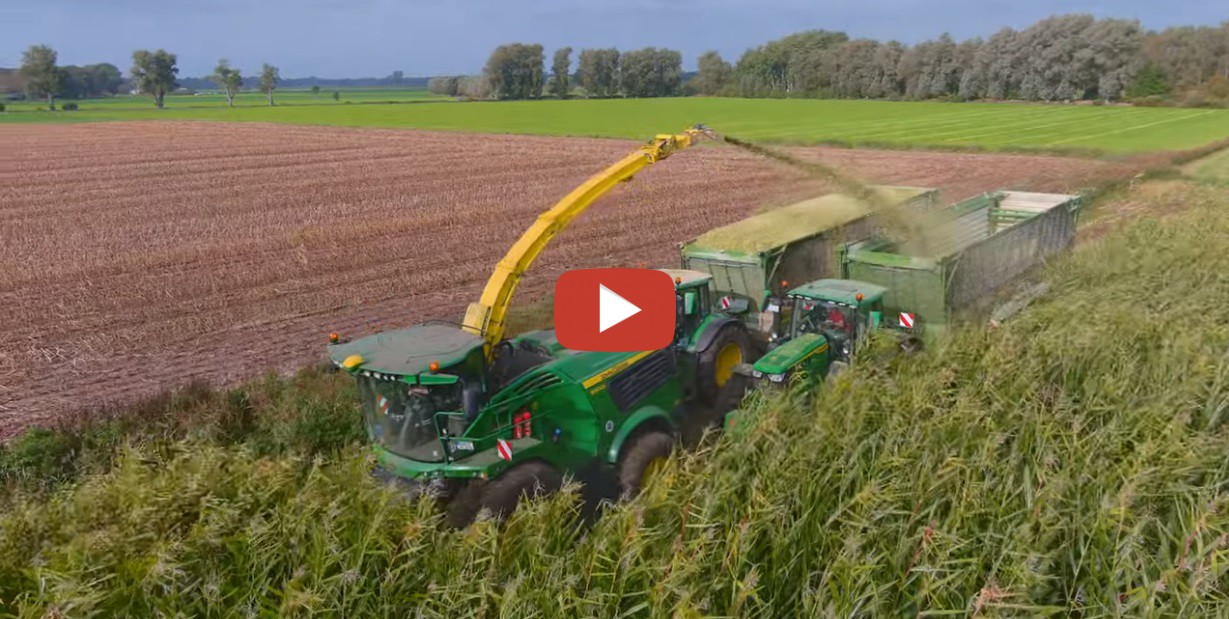 Mais 2023- Hakselen in de storm met een John Deere 9900i en o.a.. een ...